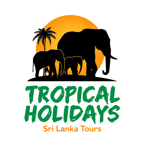 Tropical Holidays Logo