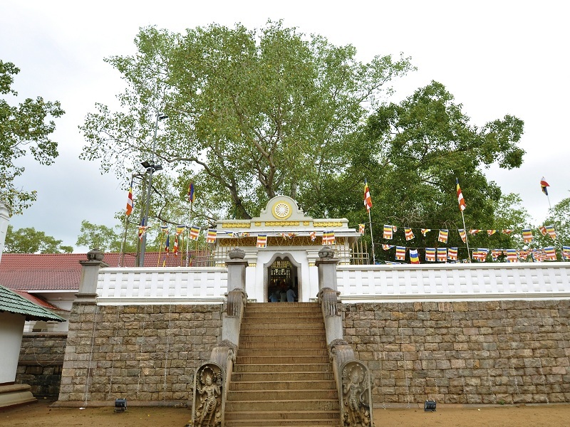 Sri Maha Bodhi