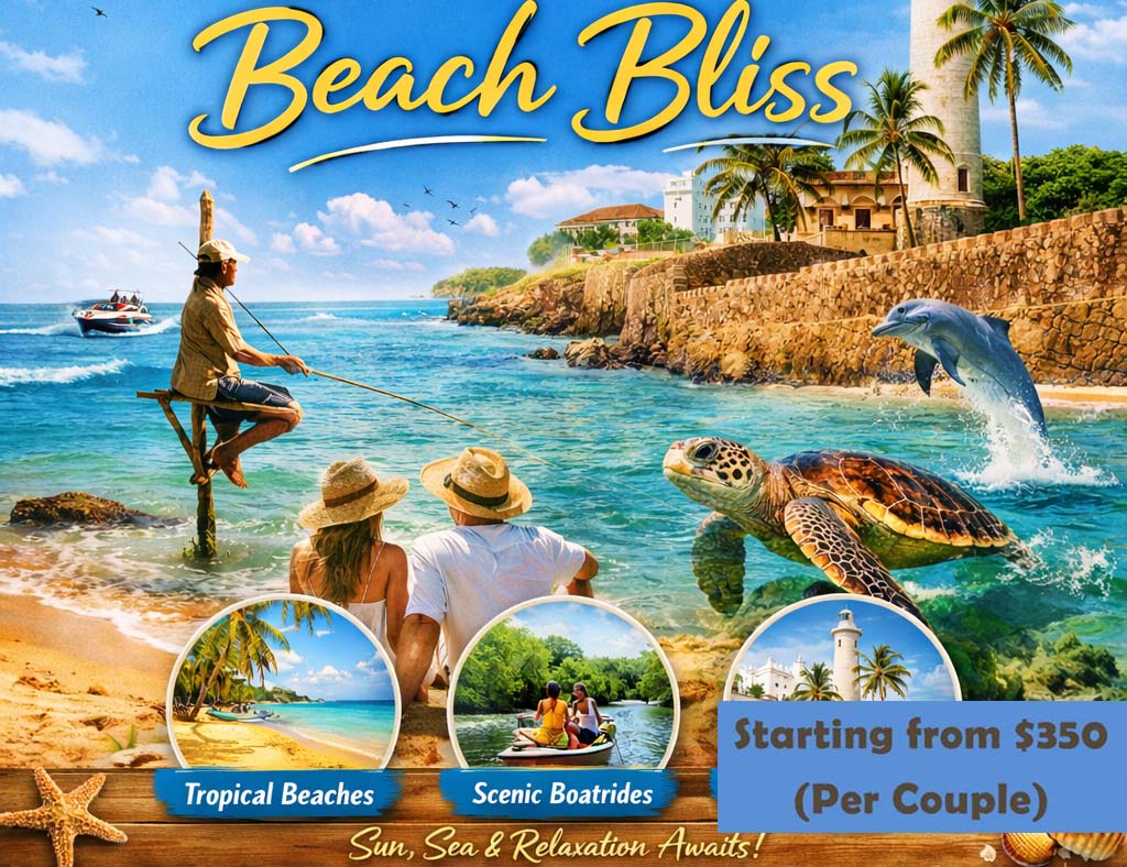 Southern Beach Bliss