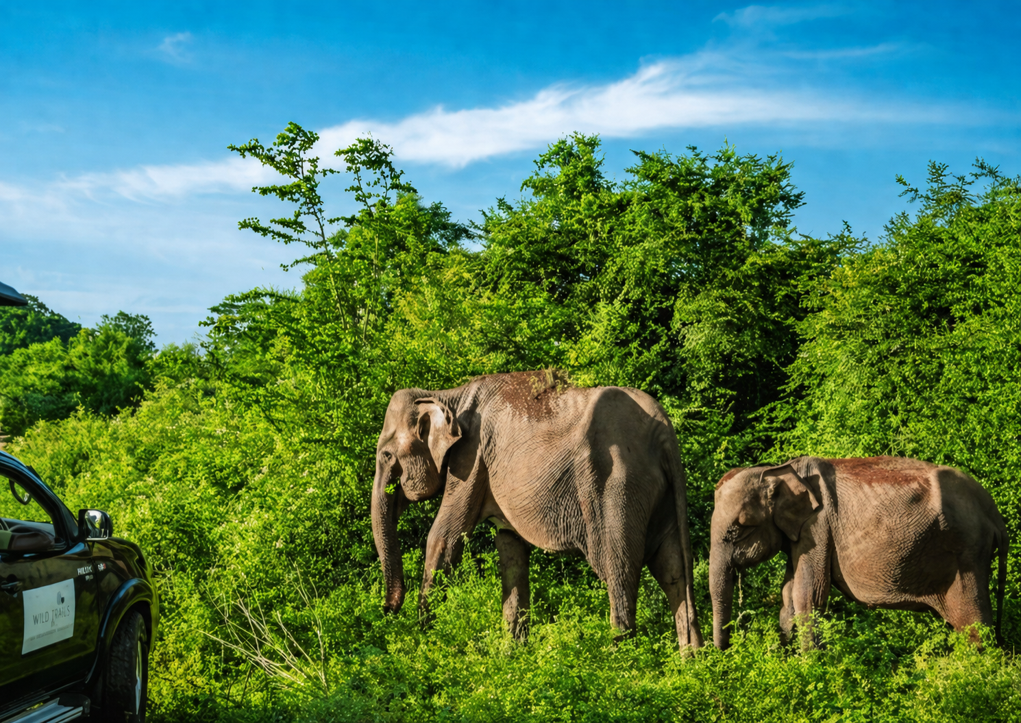 Udawalawe National Park
